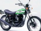 Kawasaki BJ 250 Estrella